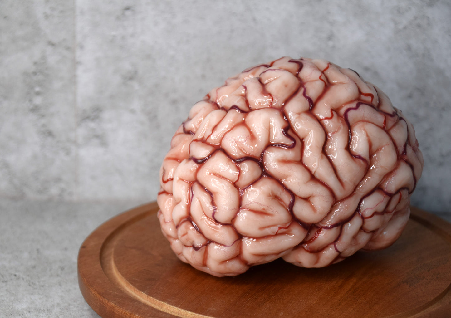 Realistic Human Brain Model Life Size, Anatomical Silicone Brain Replica, Horror FX Movie Prop, Medical Display Gift