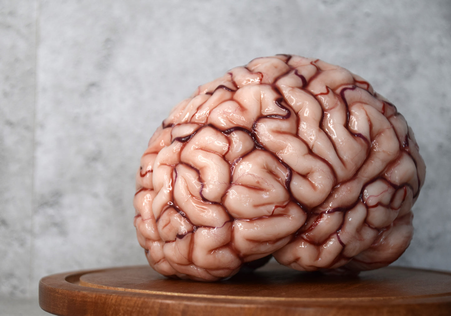 Realistic Human Brain Model Life Size, Anatomical Silicone Brain Replica, Horror FX Movie Prop, Medical Display Gift