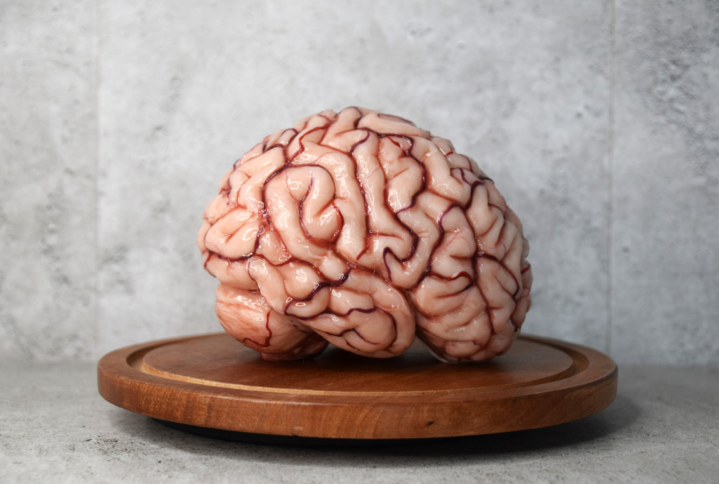 Realistic Human Brain Model Life Size, Anatomical Silicone Brain Replica, Horror FX Movie Prop, Medical Display Gift
