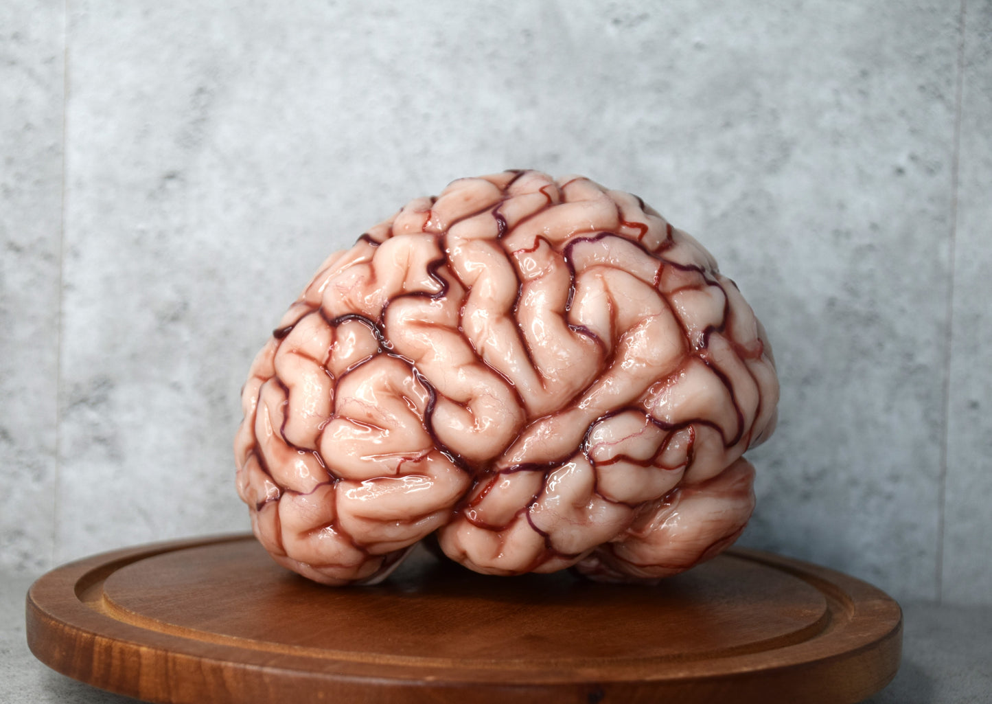 Realistic Human Brain Model Life Size, Anatomical Silicone Brain Replica, Horror FX Movie Prop, Medical Display Gift