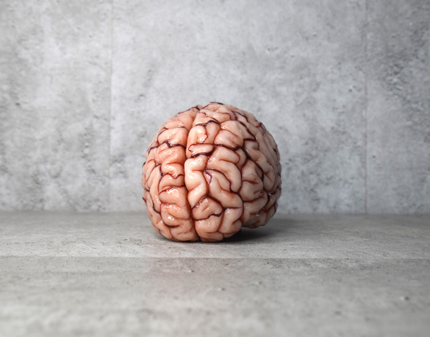 Realistic Human Brain Model Life Size, Anatomical Silicone Brain Replica, Horror FX Movie Prop, Medical Display Gift