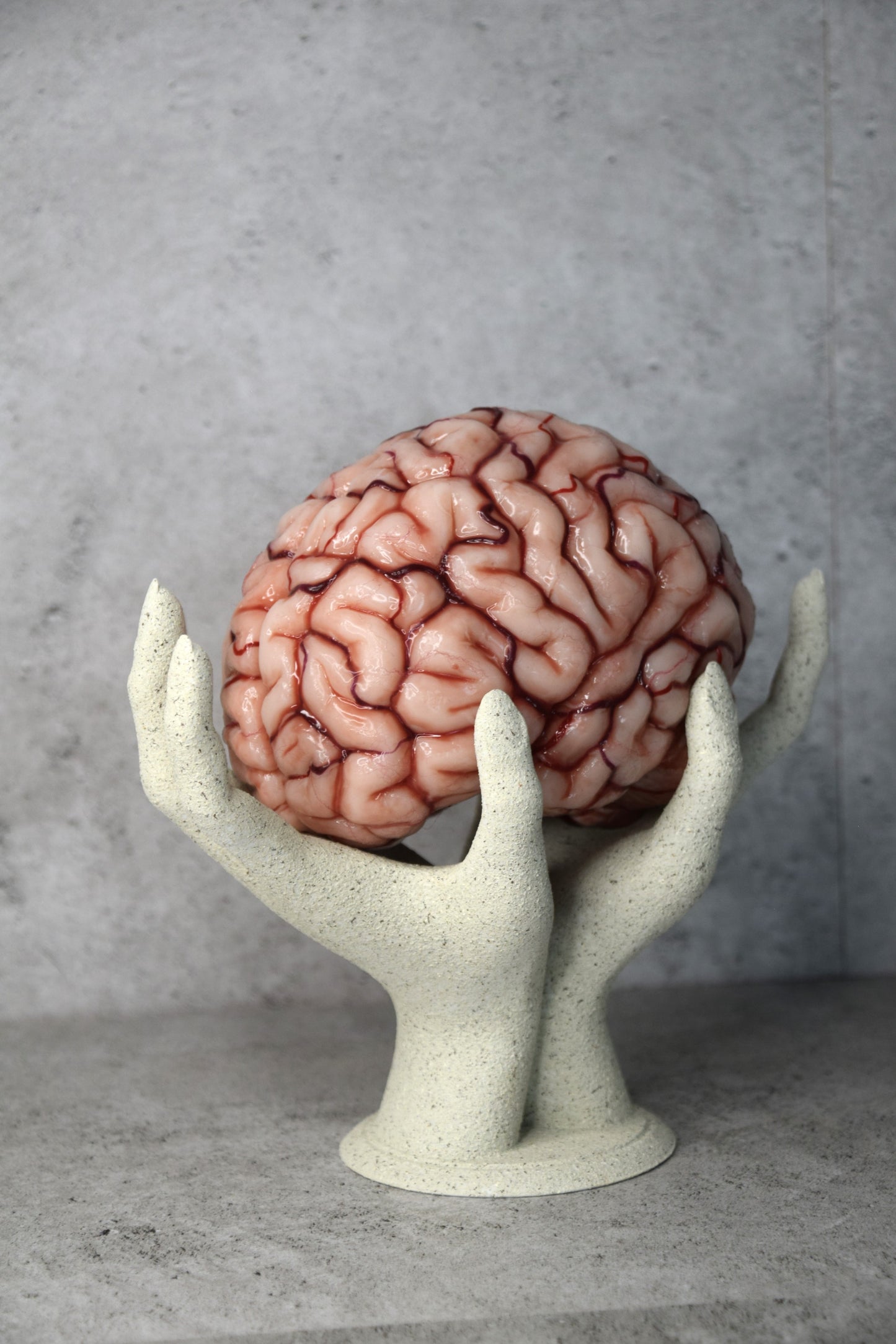 Realistic Human Brain Model Life Size, Anatomical Silicone Brain Replica, Horror FX Movie Prop, Medical Display Gift