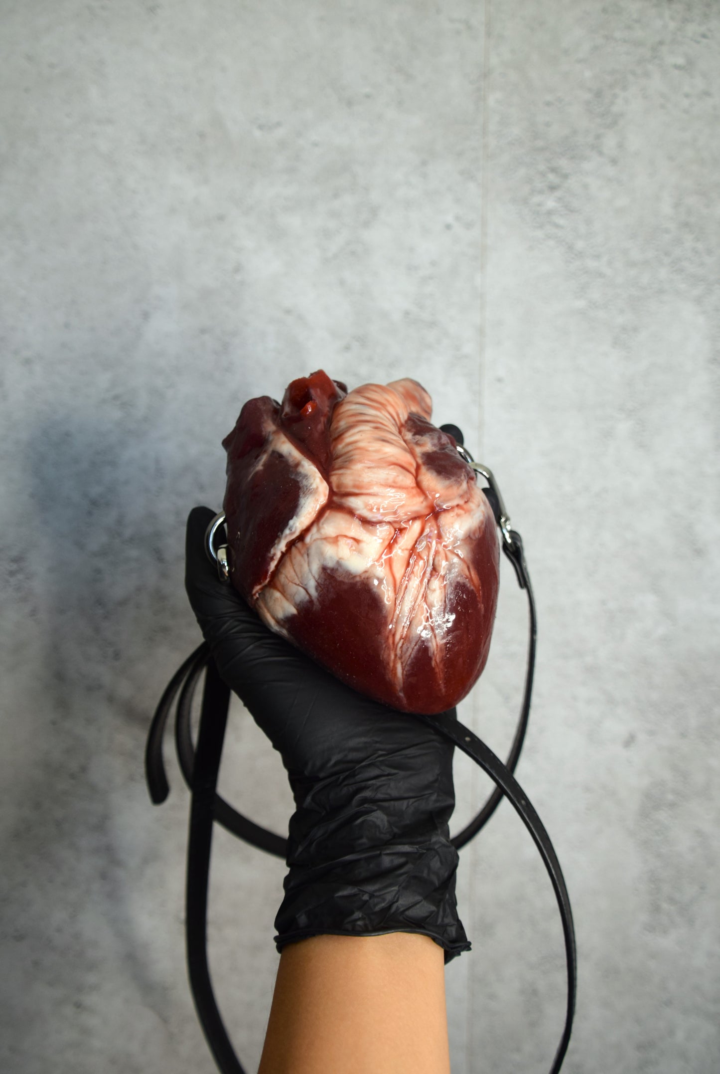 Anatomical Heart Purse 2.0, Black strap, Realistic Silicone Human Heart Crossbody Mini Bag