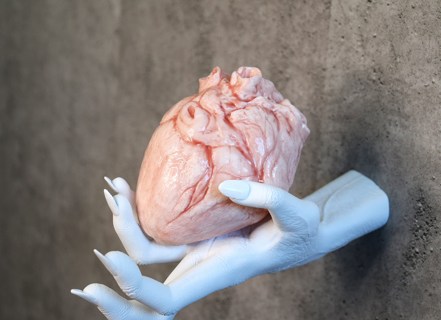 White hollow human heart life size 2.0, realistic anatomical human heart, Bloodless Medical Horror Prop