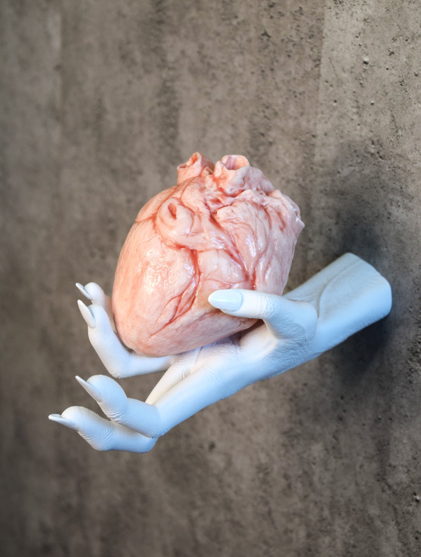 White hollow human heart life size 2.0, realistic anatomical human heart, Bloodless Medical Horror Prop