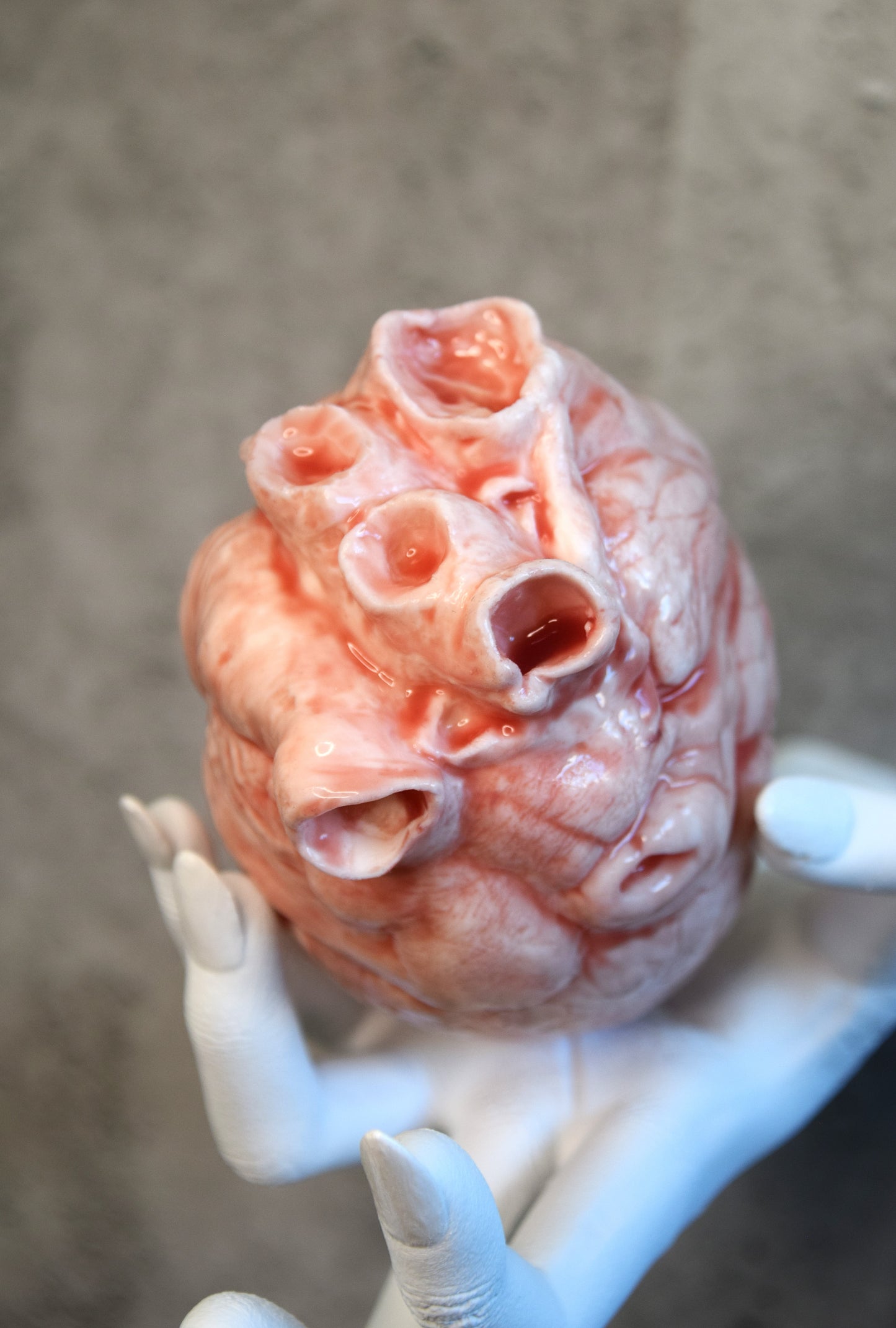 White hollow human heart life size 2.0, realistic anatomical human heart, Bloodless Medical Horror Prop