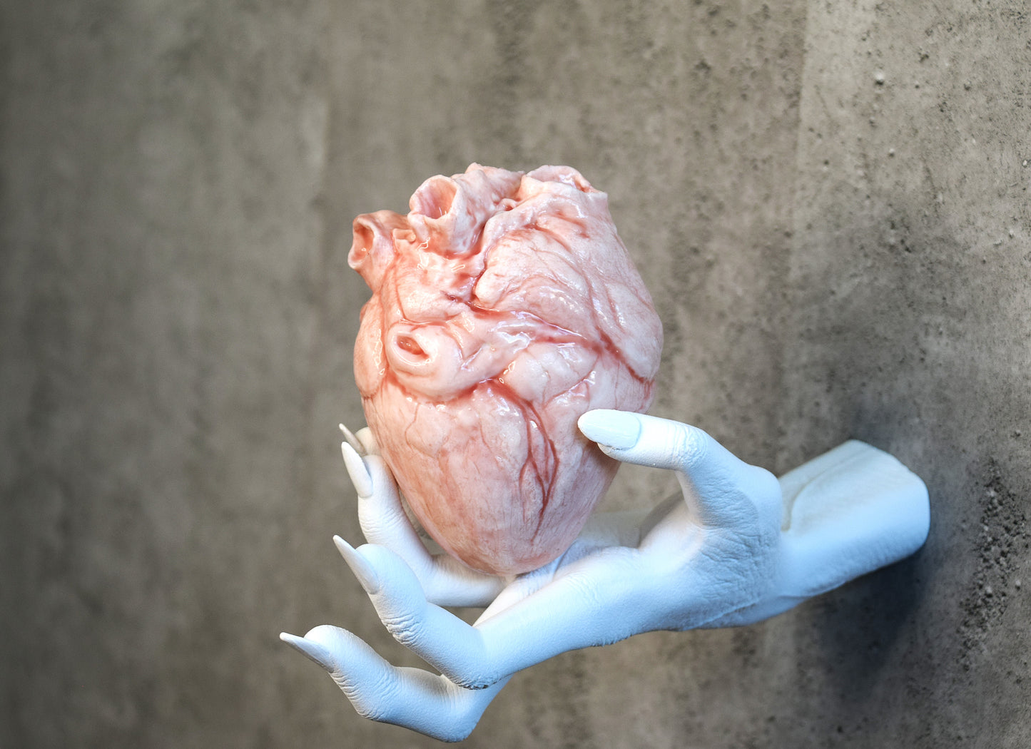 White hollow human heart life size 2.0, realistic anatomical human heart, Bloodless Medical Horror Prop