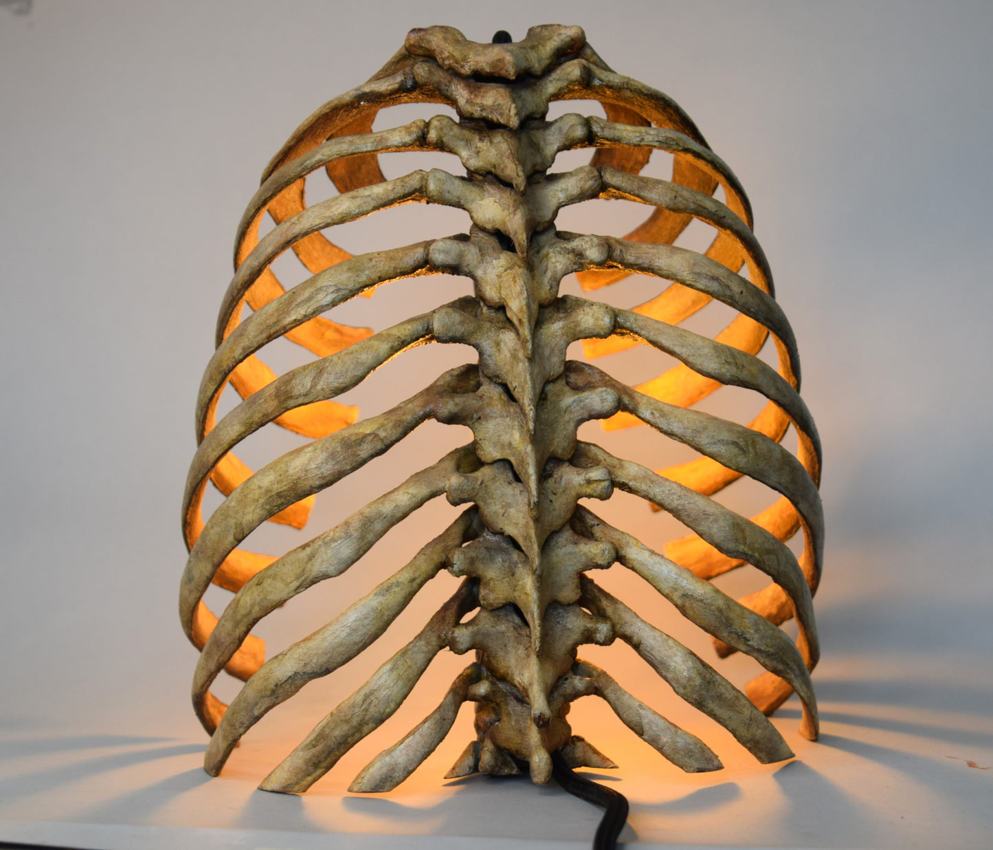 Anatomical Rib Cage Lamp, Gothic Skeleton Table Lamp, Realistic Spine Light, Dark Academia Decor, Biohorror Lighting