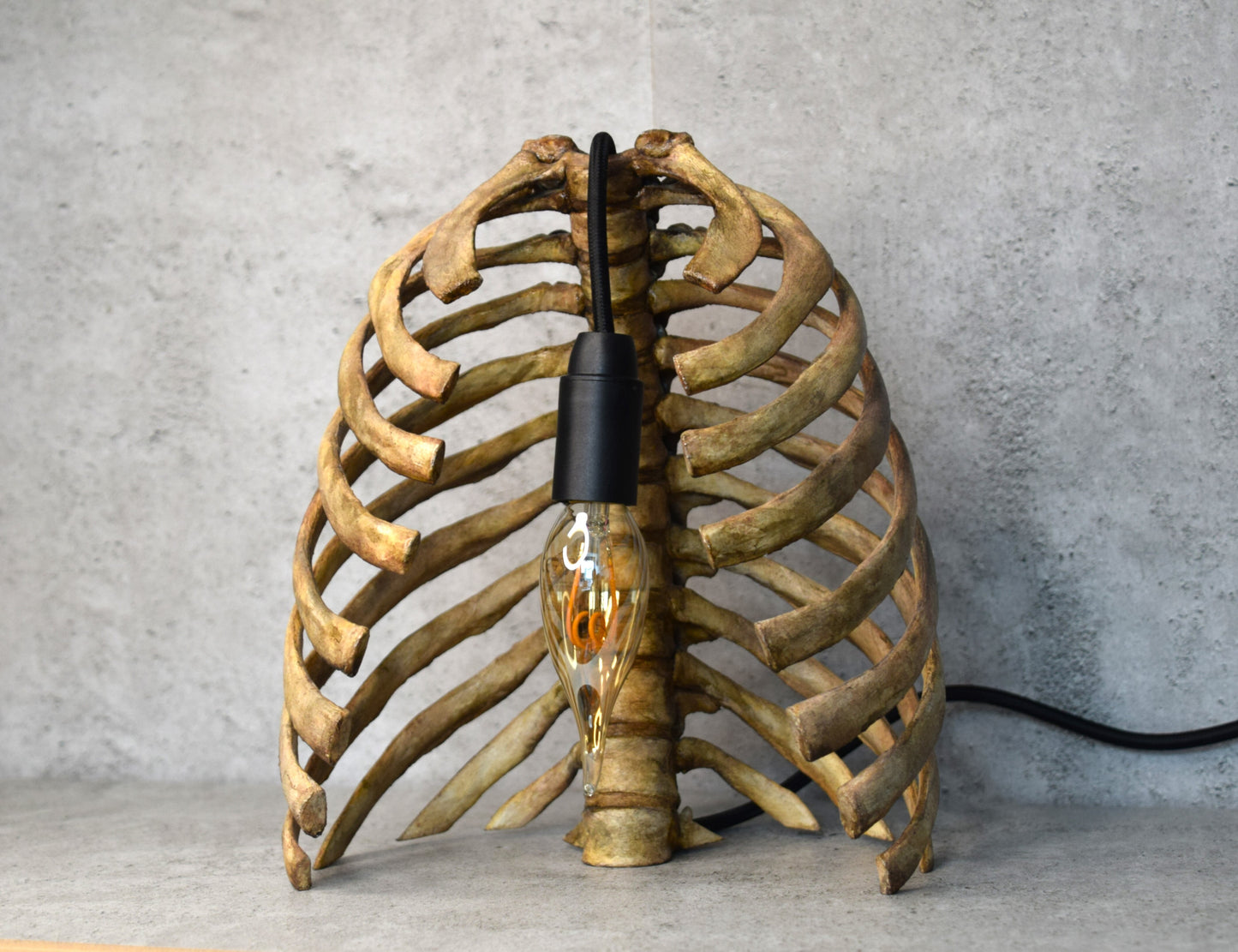 Anatomical Rib Cage Lamp, Gothic Skeleton Table Lamp, Realistic Spine Light, Dark Academia Decor, Biohorror Lighting