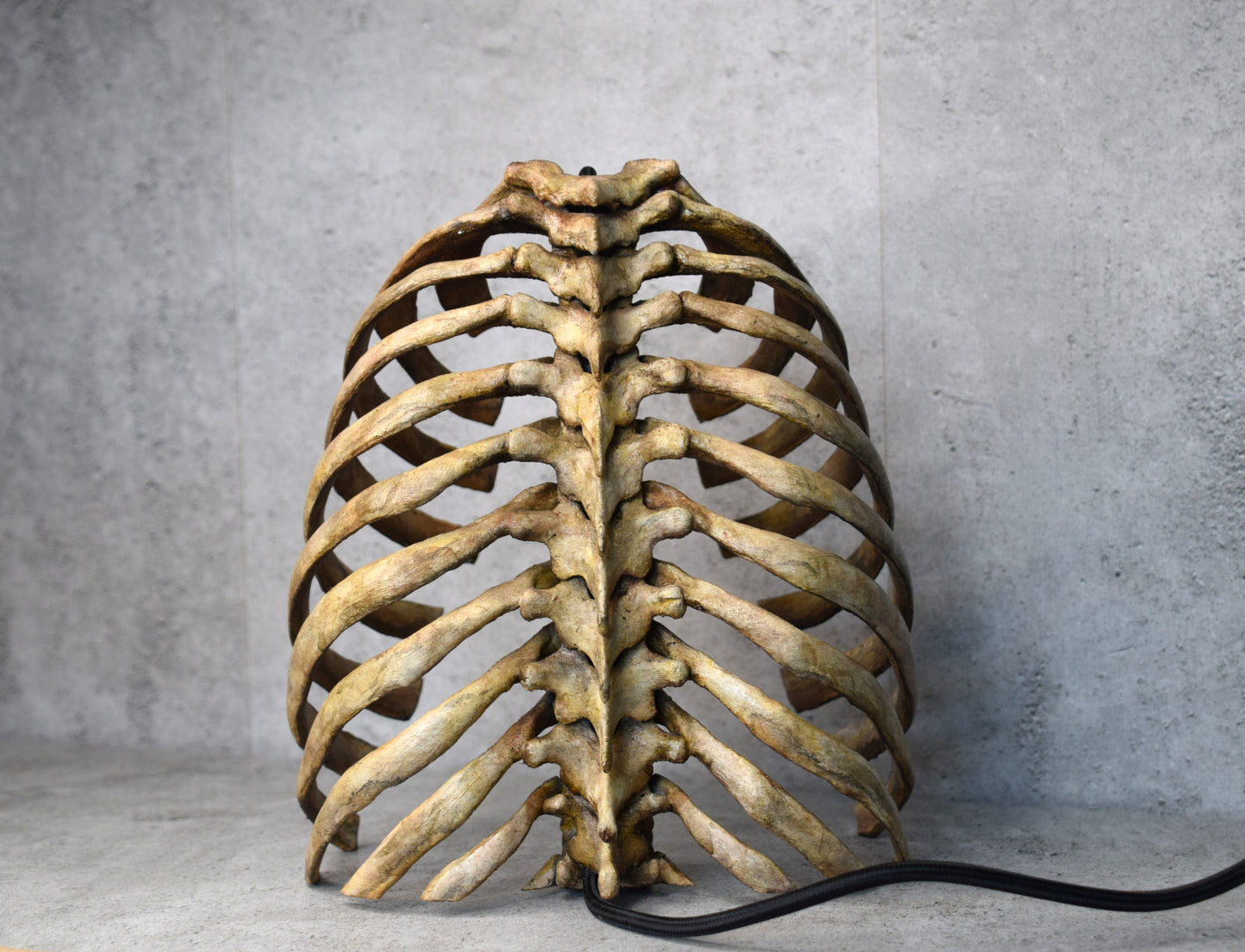 Anatomical Rib Cage Lamp, Gothic Skeleton Table Lamp, Realistic Spine Light, Dark Academia Decor, Biohorror Lighting