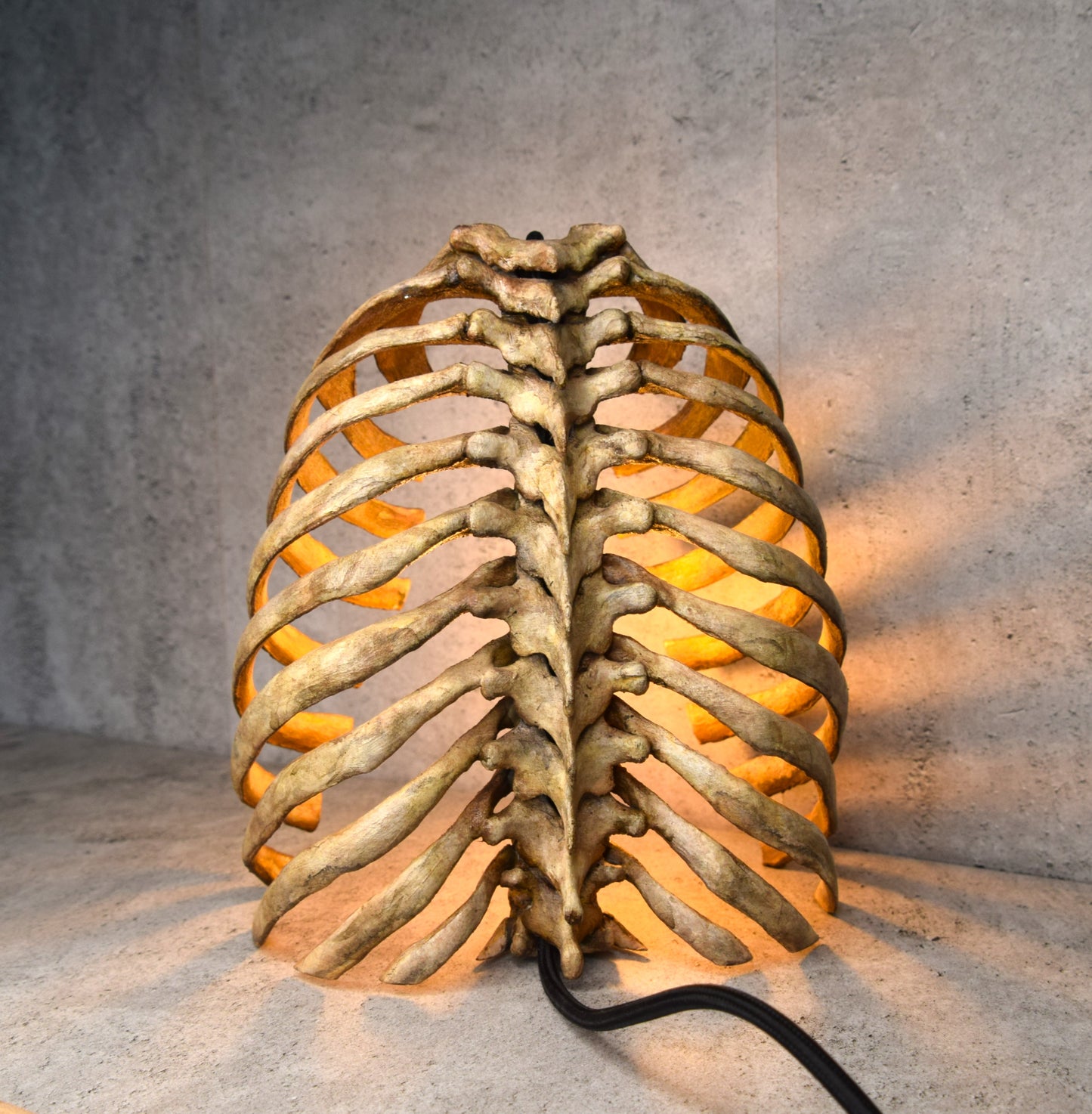 Anatomical Rib Cage Lamp, Gothic Skeleton Table Lamp, Realistic Spine Light, Dark Academia Decor, Biohorror Lighting