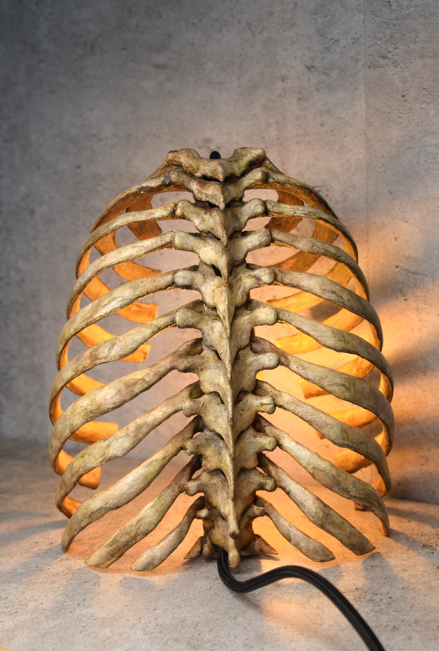 Anatomical Rib Cage Lamp, Gothic Skeleton Table Lamp, Realistic Spine Light, Dark Academia Decor, Biohorror Lighting