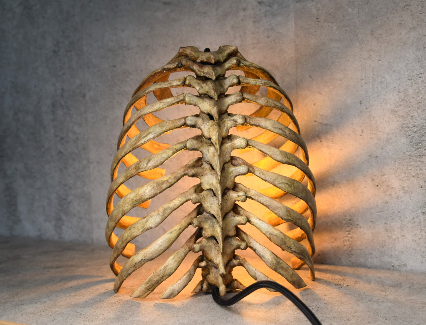 Anatomical Rib Cage Lamp, Gothic Skeleton Table Lamp, Realistic Spine Light, Dark Academia Decor, Biohorror Lighting