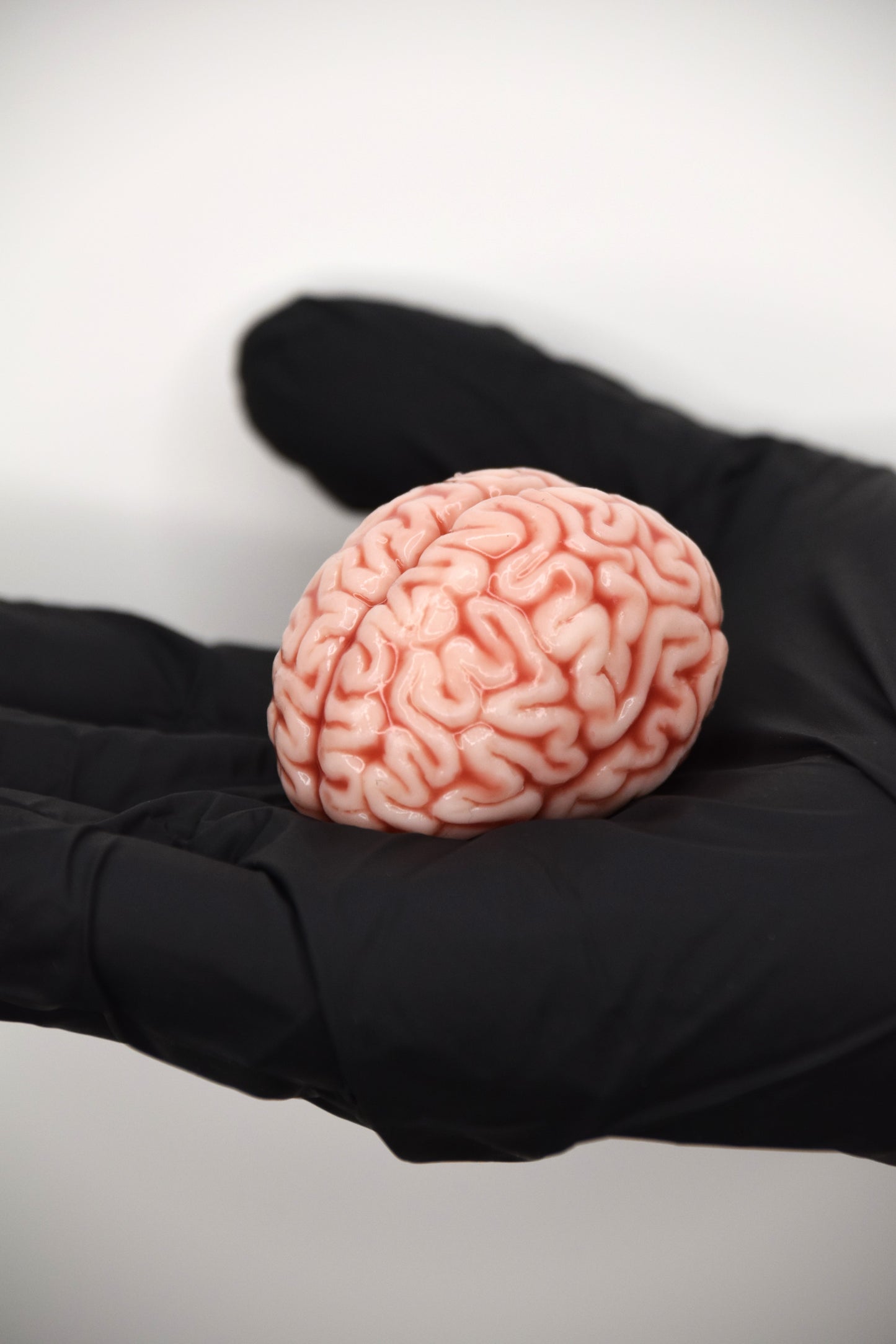 Mini Anatomical Brain Figurine – Realistic Silicone Brain Model, Gothic Desk Decor, Neuroscience Gift, Dark Academia Collectible