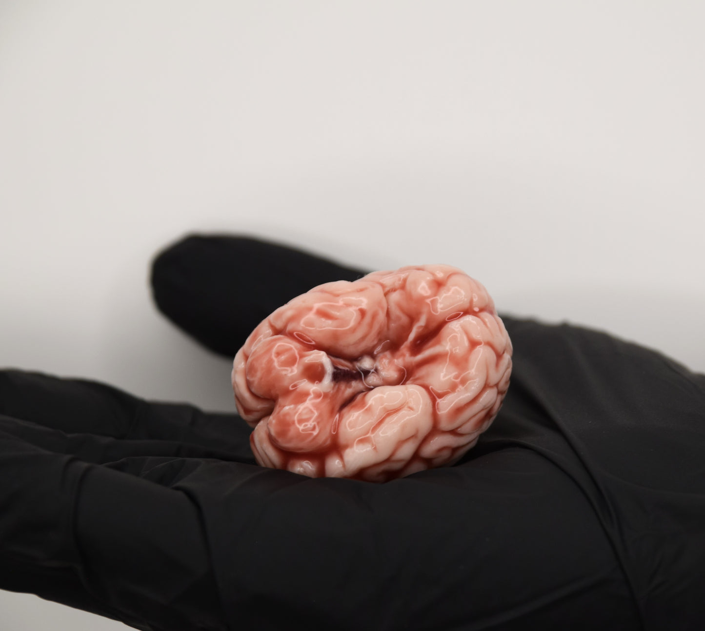 Mini Anatomical Brain Figurine – Realistic Silicone Brain Model, Gothic Desk Decor, Neuroscience Gift, Dark Academia Collectible