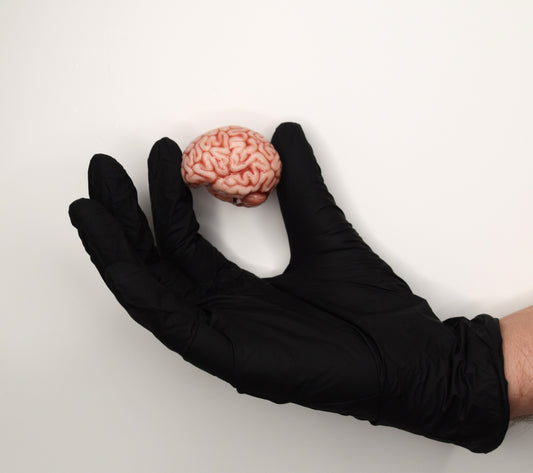 Mini Anatomical Brain Figurine – Realistic Silicone Brain Model, Gothic Desk Decor, Neuroscience Gift, Dark Academia Collectible