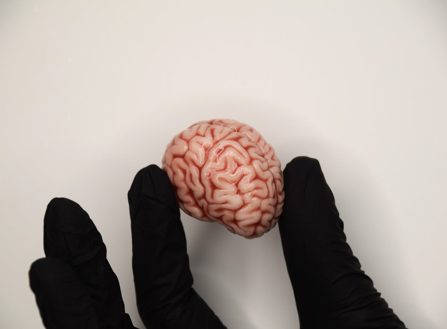 Mini Anatomical Brain Figurine – Realistic Silicone Brain Model, Gothic Desk Decor, Neuroscience Gift, Dark Academia Collectible