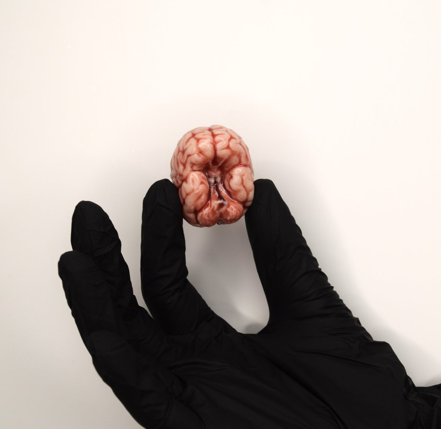 Mini Anatomical Brain Figurine – Realistic Silicone Brain Model, Gothic Desk Decor, Neuroscience Gift, Dark Academia Collectible