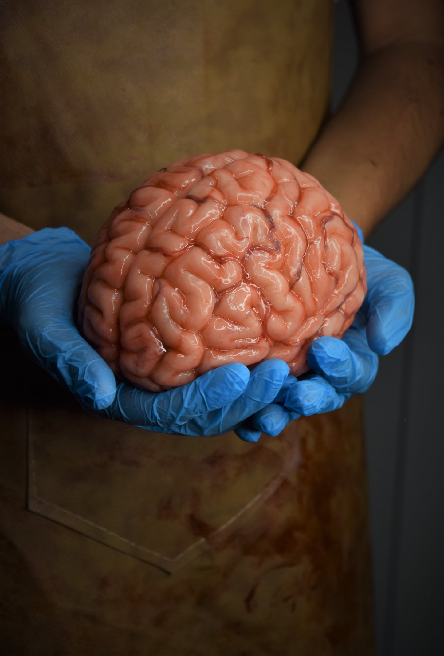 Realistic Human Brain Model Life Size, Anatomical Silicone Brain Replica, Horror FX Movie Prop, Medical Display Gift