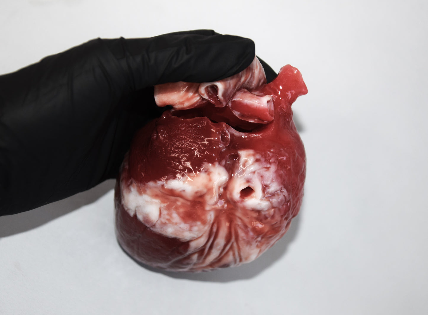 Anatomical Heart Purse with chain strap, Realistic Silicone Human Heart Crossbody Mini Bag
