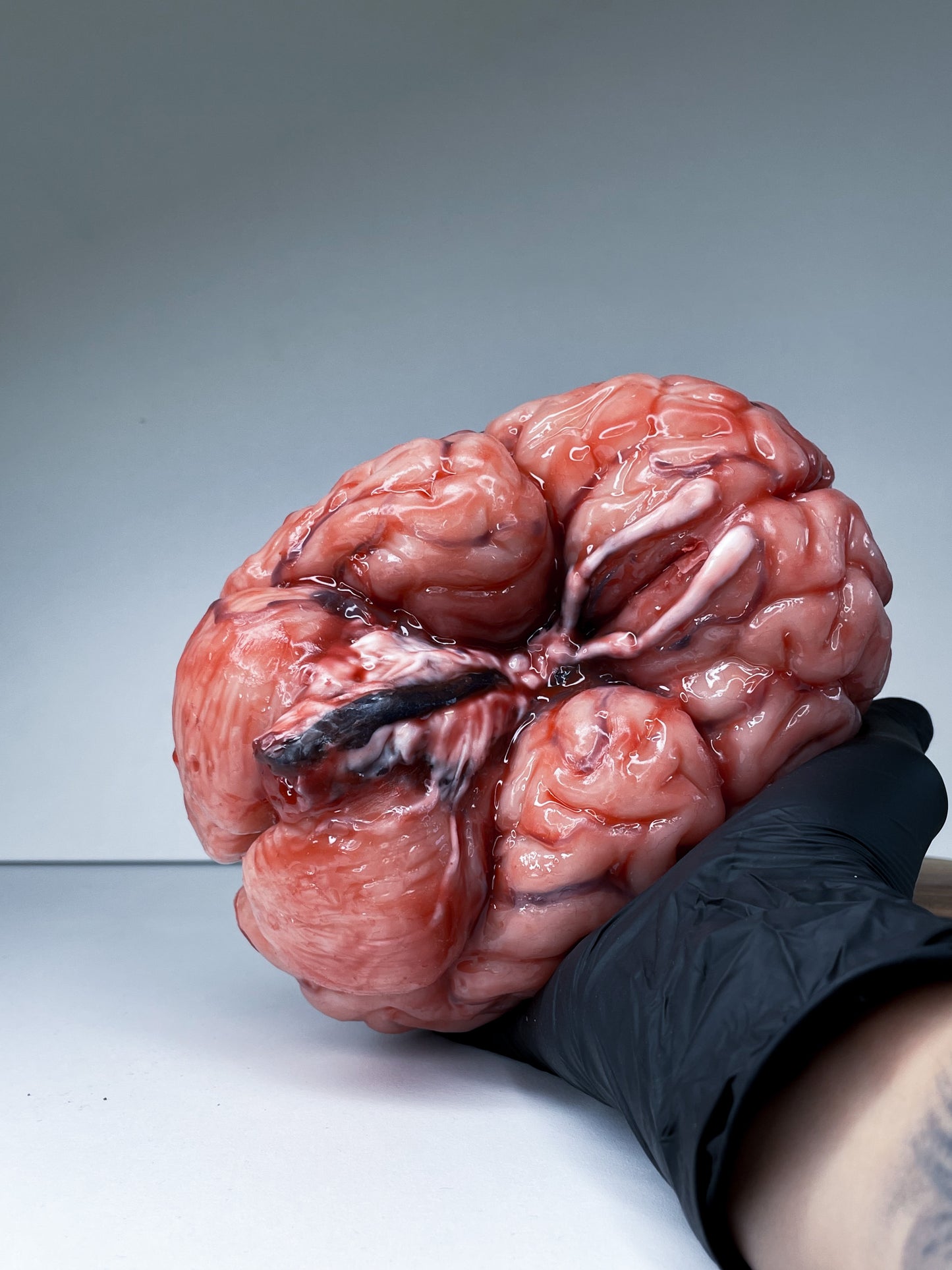 Realistic Human Brain Model Life Size, Anatomical Silicone Brain Replica, Horror FX Movie Prop, Medical Display Gift